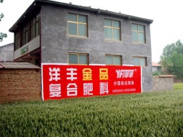 澄江如何让墙体广告展现最大化效果