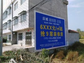 澄江墙体广告质量分析