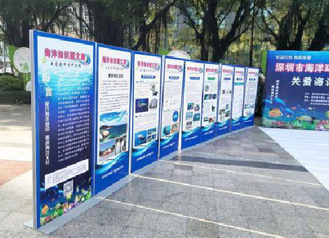 澄江KT板的种类和知识。